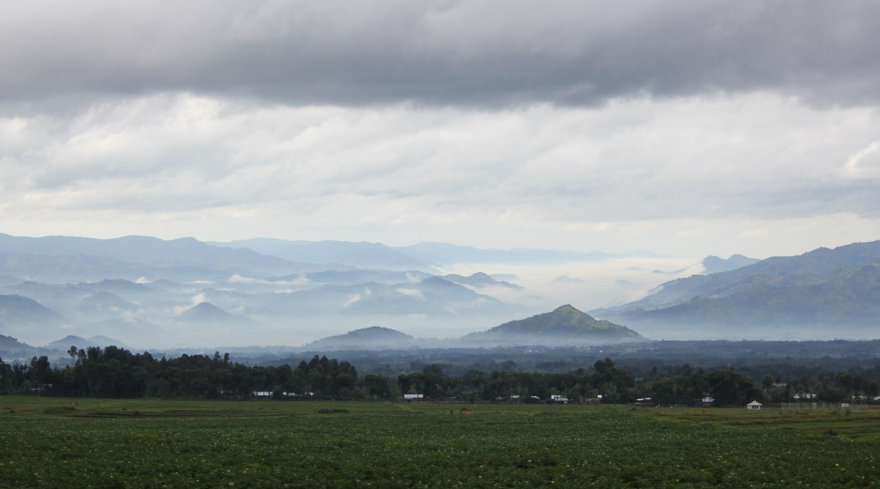 Ma plus belle histoire c’est vous : les gorilles dans le pays des brumes – Le Rwanda – avril&nbsp;2011