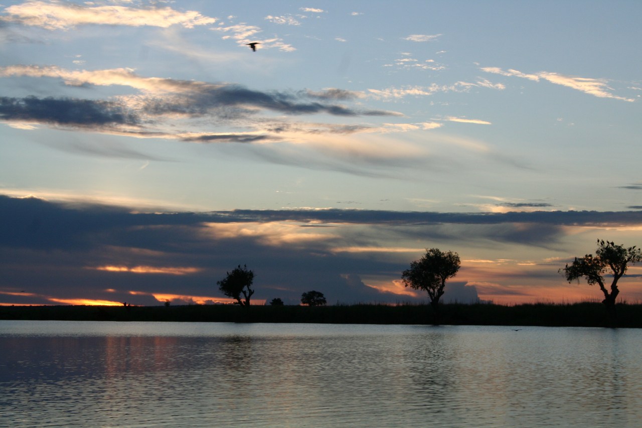 Botswana 3 chobe river et savute nov 2008 271